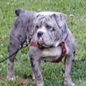 Meet your Posher, Jc